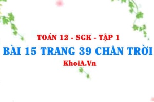 Bài 15 trang 39 Toán 12 Tập 1 Chân trời sáng tạo